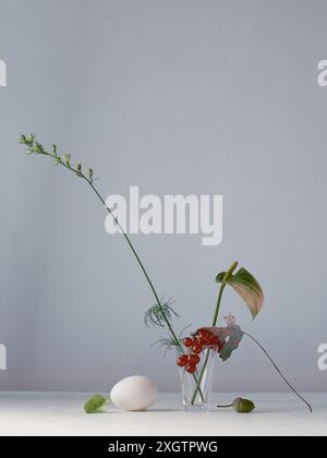 Una composizione Still Life serena e minimalista con uovo fresco, ribes, rametto con foglie verdi e delicati tendini posizionati asimmetricamente Foto Stock