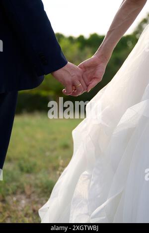 Vista ravvicinata di una coppia sposata che si tiene delicatamente per mano, sottolineando lo scambio di fedi nuziali, su uno sfondo morbido e naturale Foto Stock