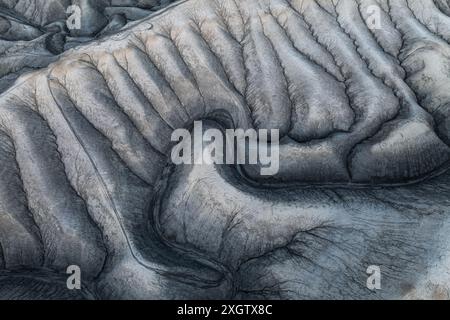 Una fotografia ravvicinata che cattura le intricate formazioni rocciose di Hanksville, Utah, mostrando profonde scanalature e texture che ricordano la pelle di un elep Foto Stock