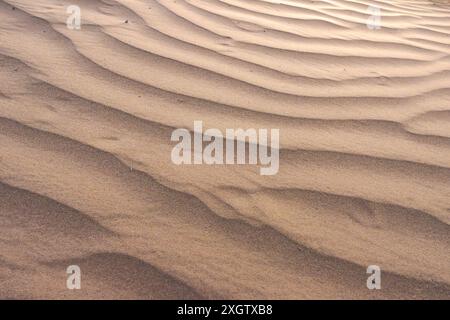 Immagine ravvicinata delle intricate increspature e dei motivi formatisi nella sabbia, raffiguranti le texture naturali simili a onde di una duna del deserto sotto una luce soffusa Foto Stock