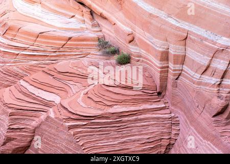 Motivi e texture sorprendenti di formazioni di arenaria rossa a strati, delicatamente scolpite dalle forze naturali, in un vasto ambiente desertico toni rosa tenui Foto Stock