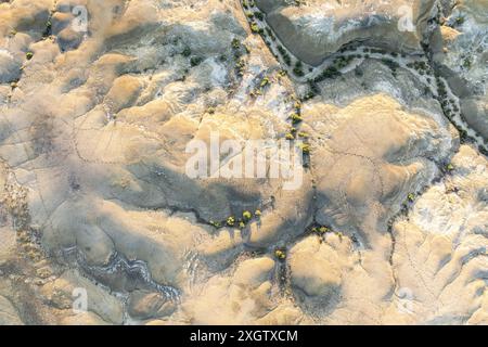 Questa splendida immagine aerea cattura le trame geologiche e i motivi unici delle Badlands Bisti, l'interazione di luci e ombre ne sottolinea l'importanza Foto Stock