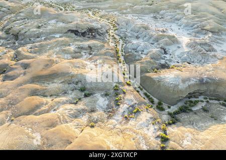 Uno scatto aereo che cattura le complesse texture e i toni distintivi delle Badlands di Bisti, l'immagine mette in risalto i motivi naturali dell'erosione e la sparsa Foto Stock