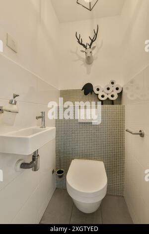 Un bagno contemporaneo con un'estetica minimalista, caratterizzato da piastrelle a mosaico grigio, una decorazione con testa di cervo montata e una pila di rotoli di carta igienica. Foto Stock