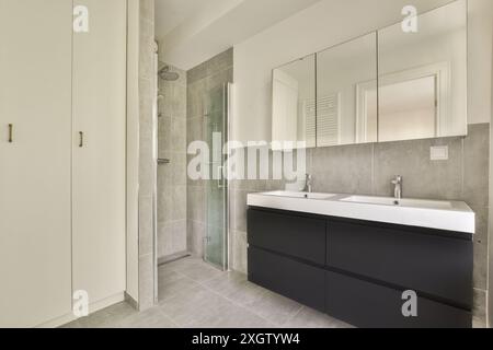 Un bagno contemporaneo con box doccia in vetro, doppio lavandino con rubinetteria minimalista e un grande specchio che amplia lo spazio. Foto Stock