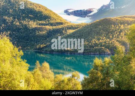 Vista panoramica del Ghiacciaio Svartisen in cima a lussureggianti colline verdi vicino al fiordo lungo la Helgelandkysten National Tourist Road. La bellezza della Norvegia settentrionale. Foto Stock