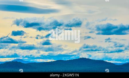 Vista aerea della fitta foresta di conifere sotto il cielo spettacolare dell'Oregon Foto Stock