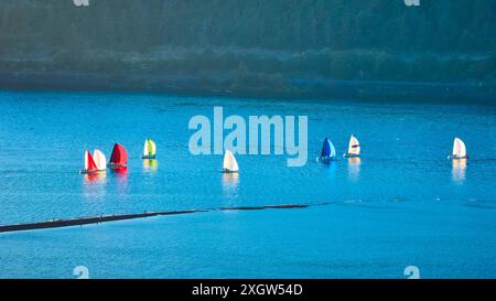 Vista aerea delle barche a vela colorate sul tranquillo lago con colline boscose Foto Stock