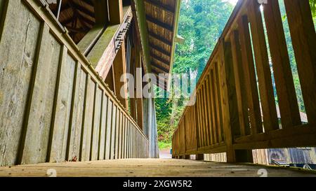 Volo aereo attraverso il ponte coperto di legno nella lussureggiante area boschiva Foto Stock