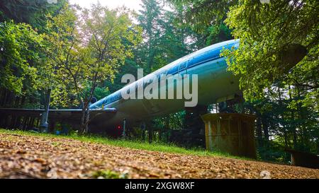 Vista aerea dell'aereo abbandonato nella lussureggiante foresta dell'Oregon Foto Stock