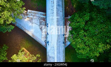 Veduta aerea del Ponte di cemento sopra la vegetazione lussureggiante alla luce del mattino presto Foto Stock