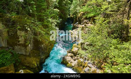 Vista aerea della lussureggiante foresta e della gola del fiume Turchese in Oregon Foto Stock