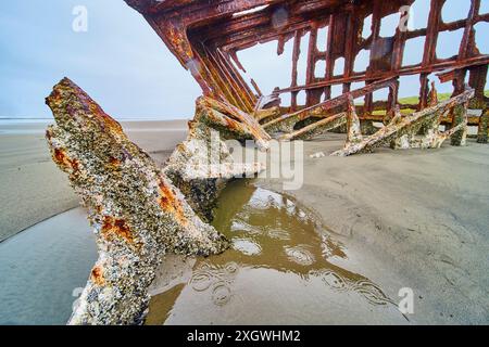 Relitto meteorologico su Sandy Beach con vista panoramica sul cielo Foto Stock