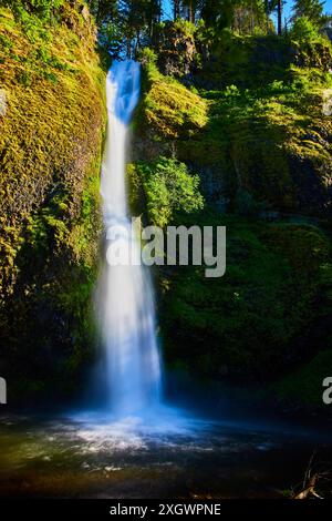Horsetail Falls Waterfall Motion nella lussureggiante Mossy Forest, Oregon Foto Stock