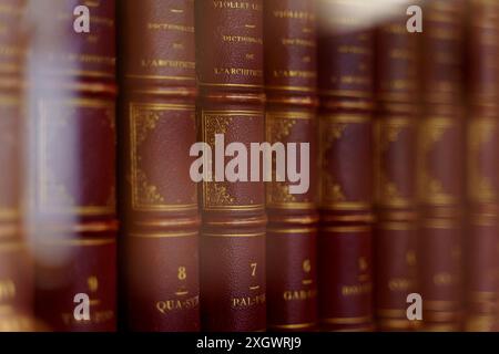 Una bella fila di libri rossi allineati su uno scaffale, che creano un'esposizione vivace e organizzata in casa o in biblioteca. Foto Stock