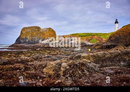 Vista aerea del faro e della costa rocciosa a Yaquina Head Foto Stock