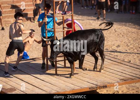 Giovani rivelatori sfidano il toro saltando in acqua durante il festival Bous a la Mar a Denia Foto Stock