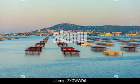 Tavoli di ostriche sull'Etang de Thau e Mont Saint Clair al tramonto, a Occitanie, Francia Foto Stock