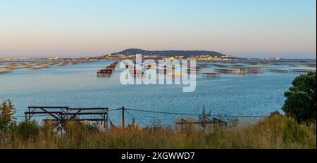 Tavoli di ostriche sull'Etang de Thau e Mont Saint Clair al tramonto, a Occitanie, Francia Foto Stock