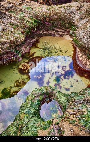 Piscina Coastal Rock con tessuti mossy e vista a livello dell'occhio Reflections Foto Stock