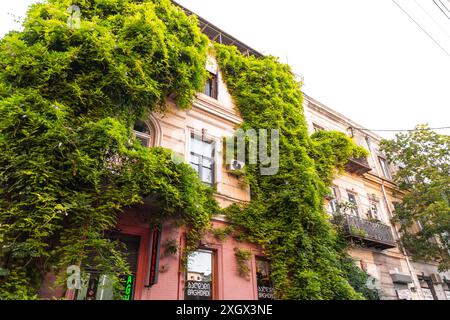 Tbilisi, Georgia - 23 GIUGNO 2024: Vista sulla strada in via Giorgi Akhvlediani con edifici storici e moderni. Foto Stock