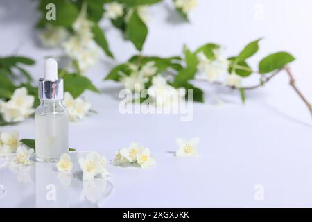 Olio essenziale in bottiglia e splendidi fiori di gelsomino su sfondo bianco Foto Stock