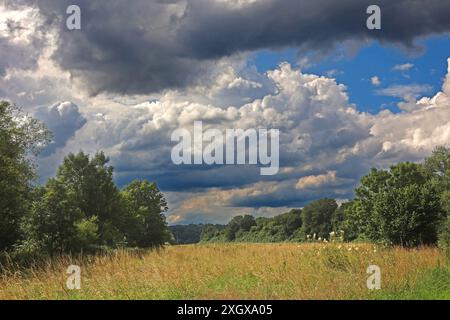 Natur in Ballungsräumen Grünland mit Büschen und Wald im sommerlichen Essener Ruhrtal unter Einwirkung von Hitze und Trockenheit im Wechsel mit unbeständigem Wetter. Essen Nordrhein-Westfalen Deutschland *** natura nelle aree urbane prati con arbusti e foreste nella valle della Ruhr ad Essen in estate sotto l'influenza del calore e della siccità alternati a condizioni meteorologiche instabili Essen Renania settentrionale-Vestfalia Germania Foto Stock