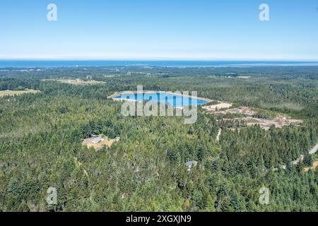 Douglas Fir Trees e Cranberry Bogs allagati con Ocean in the Distance, Oregon Coast Foto Stock