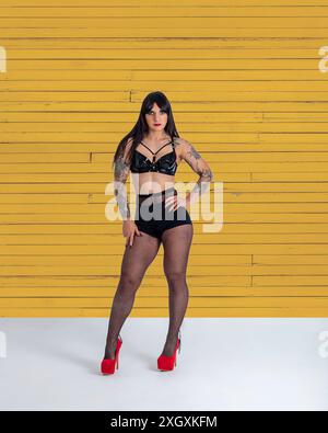 Modella italiana in studio fashion shoot Foto Stock