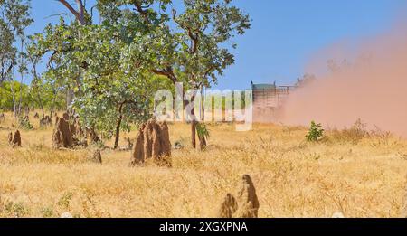 Un camion di bestiame solleva polvere rossa su una remota strada dell'entroterra con alberi, erba, tumuli di termiti, Savannah Way, Golfo di Carpentaria, Queensland, Australia Foto Stock