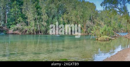 Acqua verde del fiume Gregory che scorre lungo il letto sabbioso del torrente con palme di pandano e alberi di melalueca a Gregory, Lawn Hill, Queensland, Australia Foto Stock