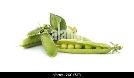 Primo piano di piselli verdi freschi dentro e fuori dai baccelli su sfondo bianco. Perfetto per concetti relativi a freschezza, nutrizione e alimentazione sana. Foto Stock