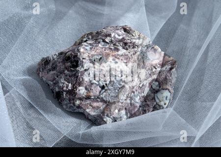 Pelitic Schist Rock, isolata su sfondo bianco da vicino Foto Stock