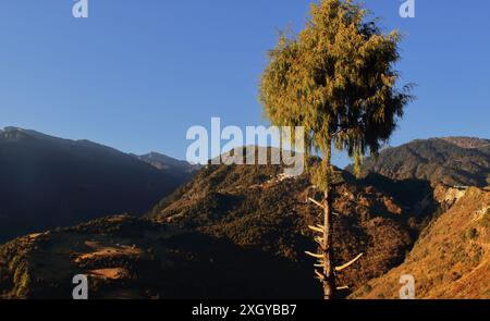 vista panoramica del paesaggio montano dell'himalaya di tawang, situato vicino al confine con l'india e alla popolare stazione collinare di arunachal pradesh, nel nord-est dell'india Foto Stock