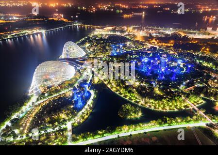 Splendida vista dall'alto del fantastico giardino presso Marina Bay a Singapore di notte. Navi panoramiche con luci scintillanti nel mare sono visibili sullo sfondo. Peccato Foto Stock