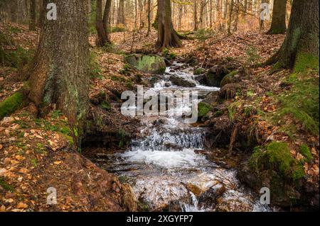 Piccolo e bellissimo ruscello limpido nella foresta del monte ore dopo la piovosa giornata primaverile, sfocatura del movimento. repubblica Ceca, Luzec. Foto Stock