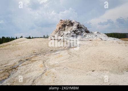 White Dome Geyser, Lower Geyser Basin Geothermal area, Yellowstone Caldera, Yellowstone National Park, Wyoming Foto Stock