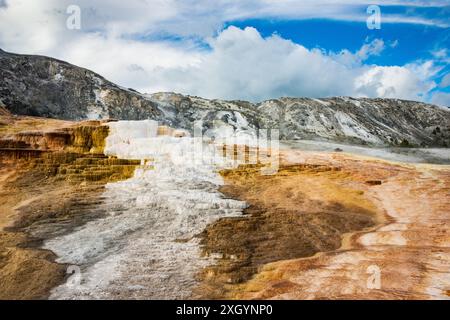 The Mound Spring and Jupiter Terrace, Mammoth Hot Springs, Yellowstone National Park, Wyoming, Stati Uniti d'America Foto Stock