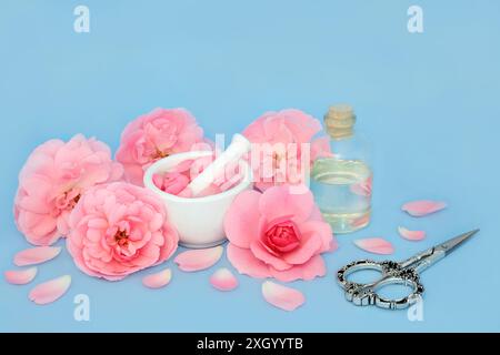 Aromaterapia di fiori di rosa preparazione di olio essenziale con fiori rosa su blu. Naturale essenza floreale medicina di guarigione per trattare le condizioni della pelle. Foto Stock