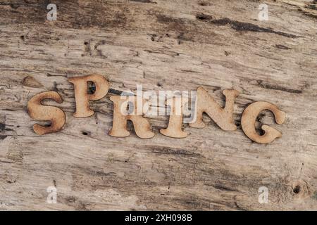 Word SPRING written with wooden letters table Foto Stock