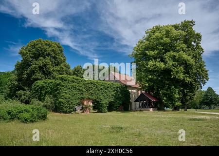 Rovine del monastero cistercense di Himmelpfort, Casa di Natale Himmelpfort, Uckermark, Brandeburgo, Germania, Europa Foto Stock