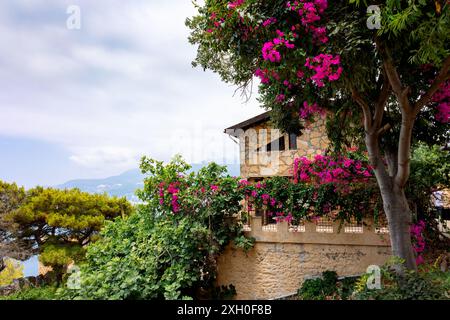 Casa in pietra con una bella boscaglia fiorita contro il cielo blu. Paesaggio del Mediterraneo meridionale, Alanya, Turchia. Foto di alta qualità Foto Stock