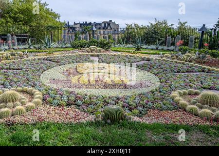 Il famoso gruppo di cactus al parco Carl Johans a Norrkoping Strömparken durante la primavera a Norrköping, in Svezia Foto Stock