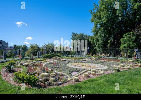 Il famoso gruppo di cactus al parco Carl Johans a Norrkoping Strömparken durante la primavera a Norrköping, in Svezia Foto Stock