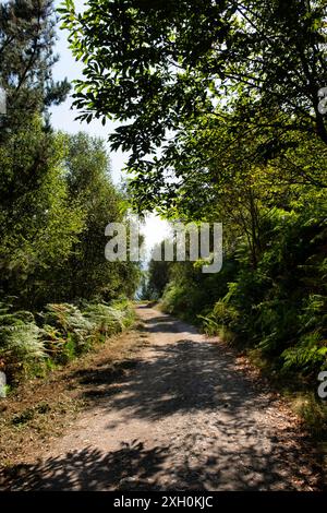 Mirador de A Paicega. Concejo de Grandas de Salime. Asturie. Spagna Foto Stock