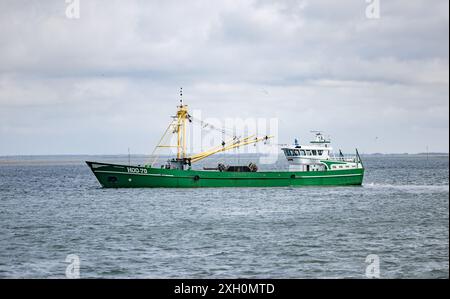 11 luglio 2024, Schleswig-Holstein, Hörnum (Sylt): Un peschereccio entra nel porto di Hörnum. La stagione delle cozze su Sylt è aperta. Foto: Axel Heimken/dpa Foto Stock