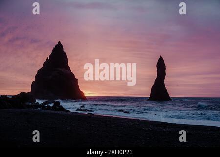 Vista all'alba della spiaggia di Reynisfjara con le sue iconiche faraglioni di mare, situata sulla costa meridionale dell'Islanda. Foto Stock