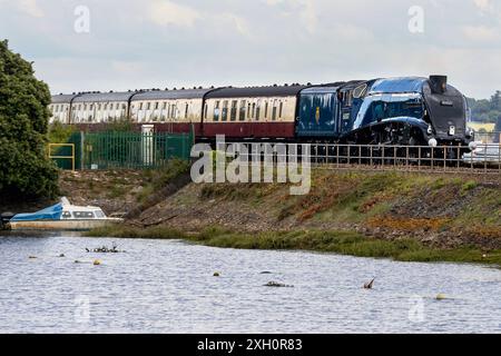 Starcross, Regno Unito 11 luglio 2024. L'iconico treno a vapore Sir Nigel Gresley (60007), nella foto che corre lungo la costa di Starcross, Devon, Regno Unito, in viaggio verso Plymouth. La famosa locomotiva di classe A4 è il detentore della velocità record del dopoguerra di 112 miglia all'ora (180 km/h) ottenuta il 23 maggio 1959 e porta una targa in tal senso. Credito: Mark Passmore/Alamy Live News Foto Stock