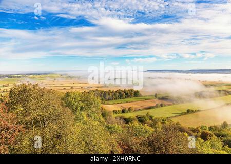 Vista di un paesaggio di mosaico in campagna con nebbia sopra i campi e splendidi colori autunnali sugli alberi una giornata di sole d'autunno Foto Stock