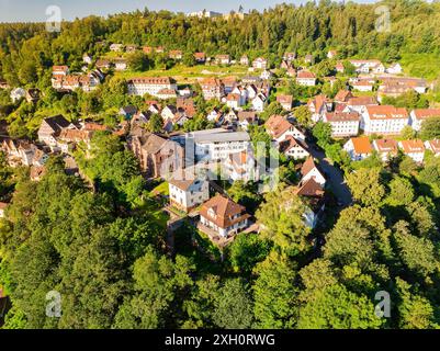 Vista aerea di un insediamento con molte case su una collina verde in una giornata estiva di sole, Calw, Foresta Nera, Germania Foto Stock